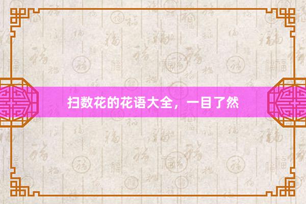 扫数花的花语大全，一目了然