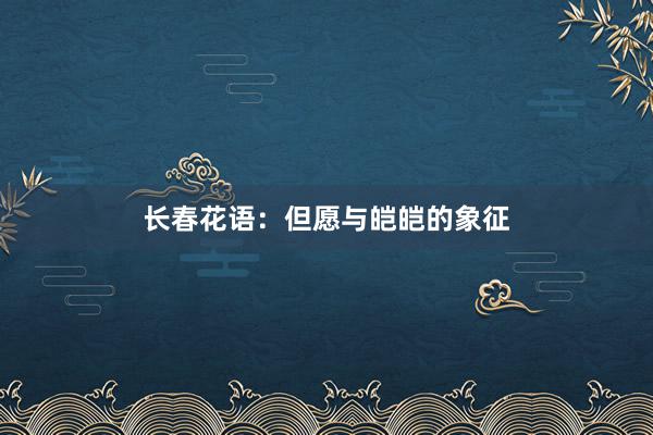 长春花语：但愿与皑皑的象征