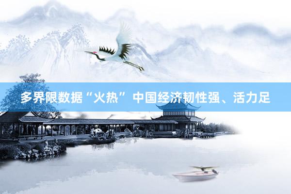 多界限数据“火热” 中国经济韧性强、活力足